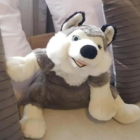 Шале I Pod Tatrami Закопане